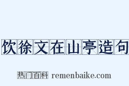 饮徐文在山亭造句是什么意思的图片